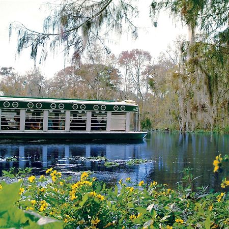 Hotel Howard Johnson By Wyndham Ocala Fl I-75 Exterior foto